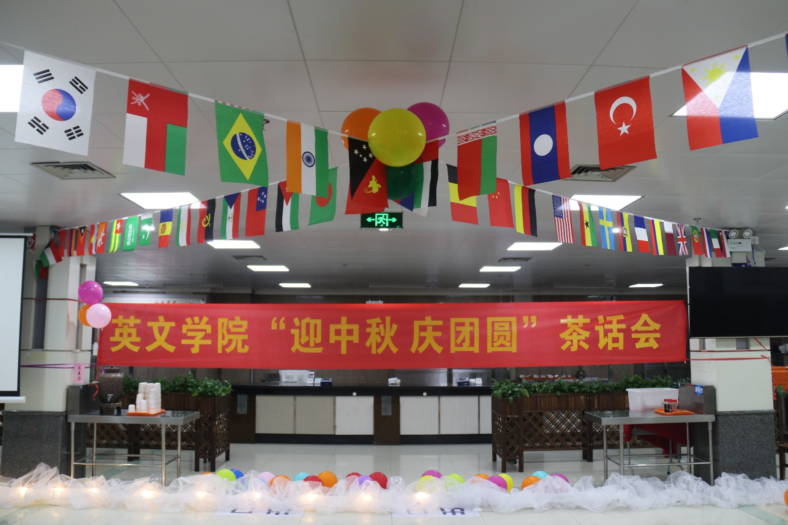 IMG_1347.JPG IMG_1347.JPG